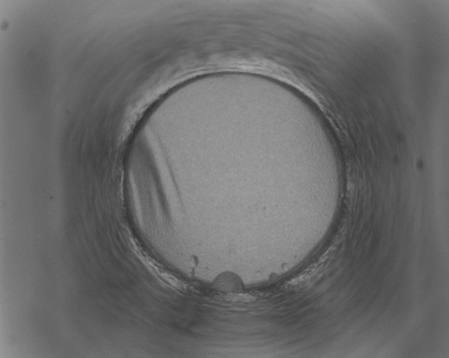 X0000067911507200605041630