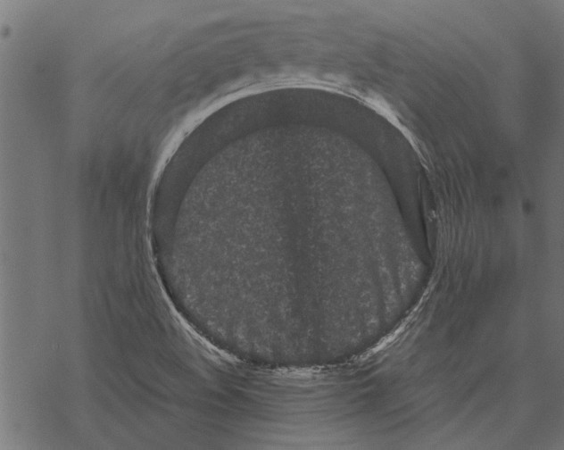 X0000067911508200605041630