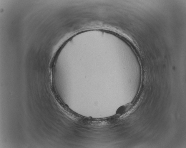 X0000067911509200605041630