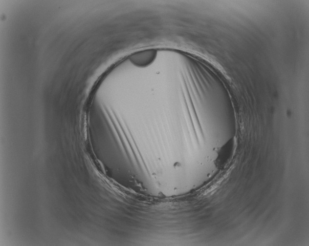 X0000067911510200605041630