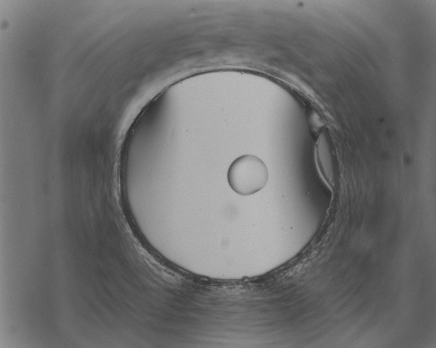 X0000067911512200605041630