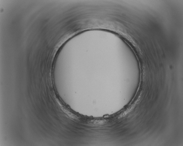 X0000067911513200605041630