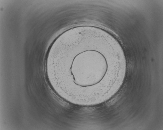 X0000067911514200605041630