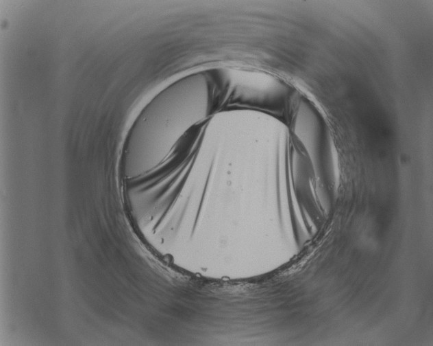 X0000067911516200605041630