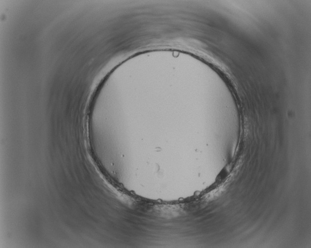 X0000067911517200605041630