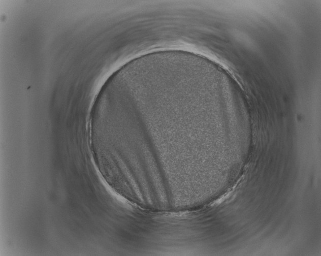 X0000067911519200605041630