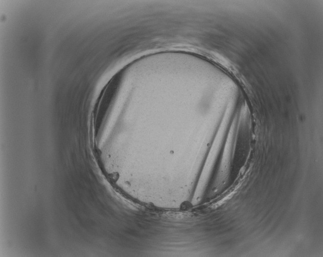 X0000067911520200605041630