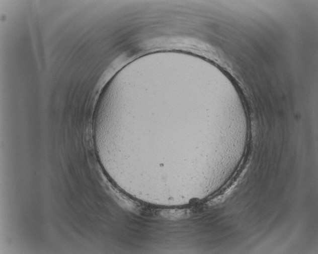 X0000067911521200605041630