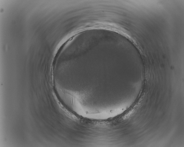 X0000067911522200605041630