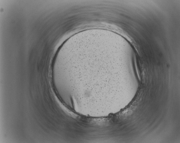 X0000067911523200605041630