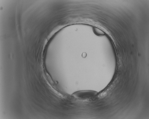 X0000067911525200605041630