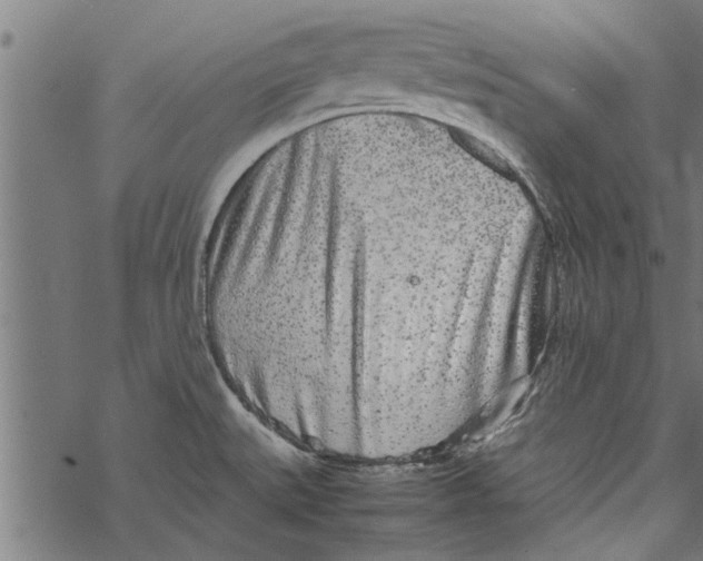 X0000067911527200605041630