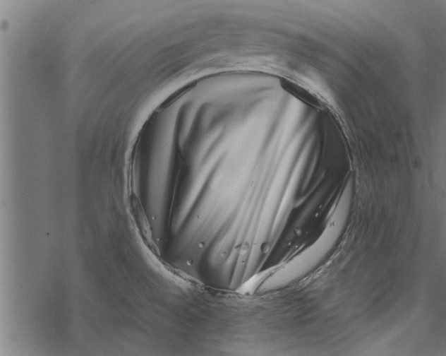 X0000067911528200605041630