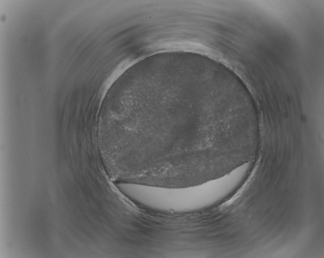 X0000067911529200605041630