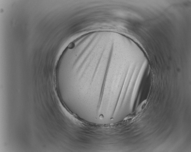 X0000067911531200605041630