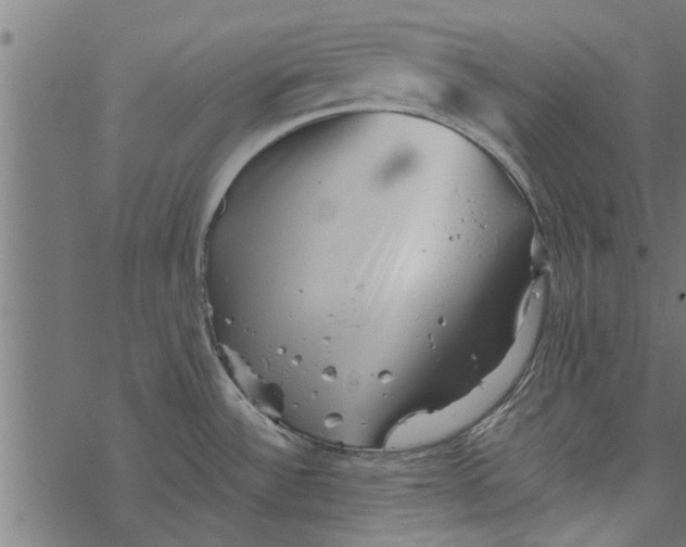 X0000067911532200605041630