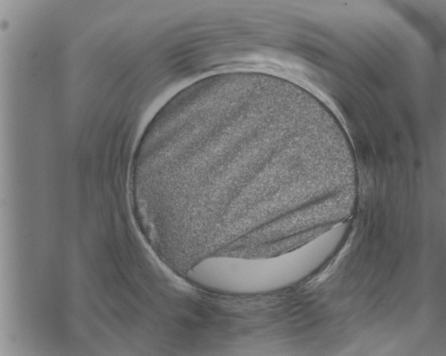 X0000067911533200605041630