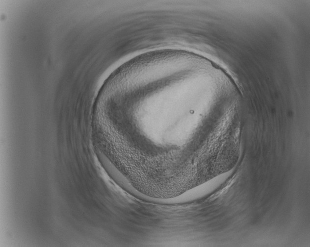 X0000067911534200605041630