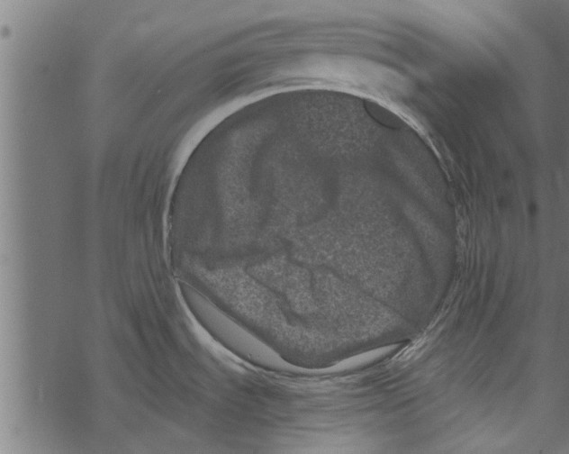 X0000067911535200605041630