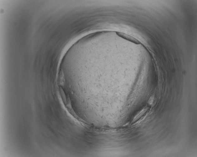 X0000067911536200605041630