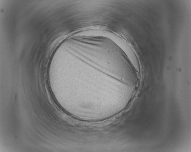 X0000067910001200605111955