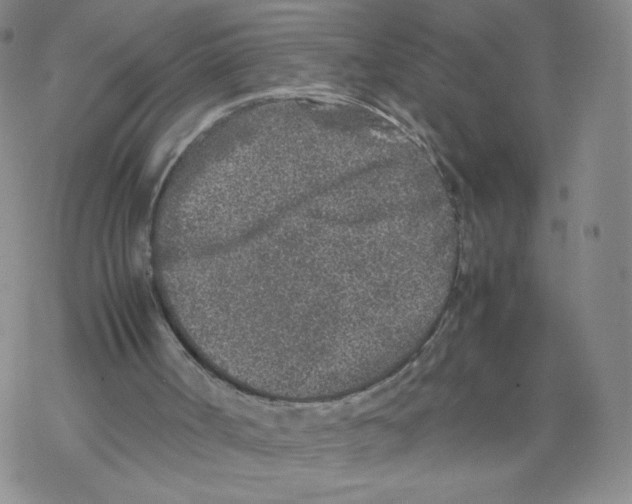 X0000067910002200605111955