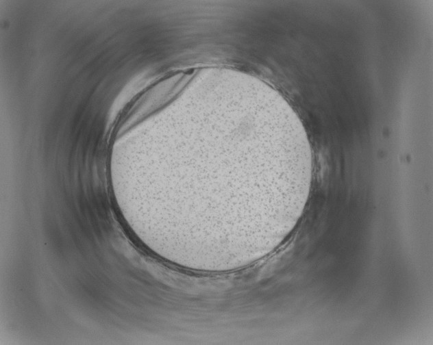 X0000067910004200605111954