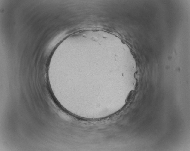 X0000067910005200605111954