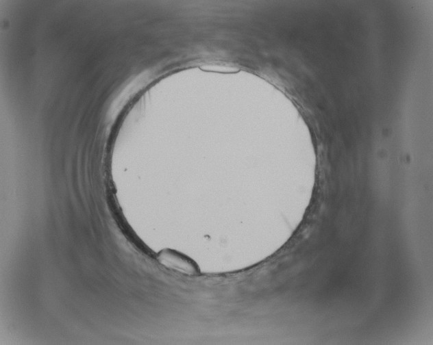 X0000067910007200605111954