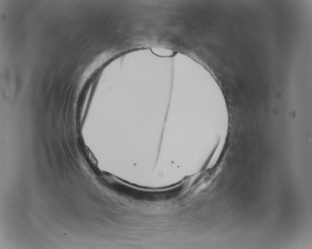 X0000067910008200605111954