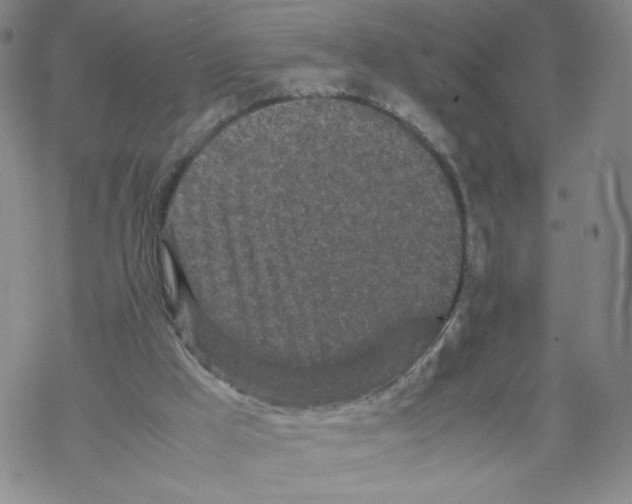 X0000067910009200605111954