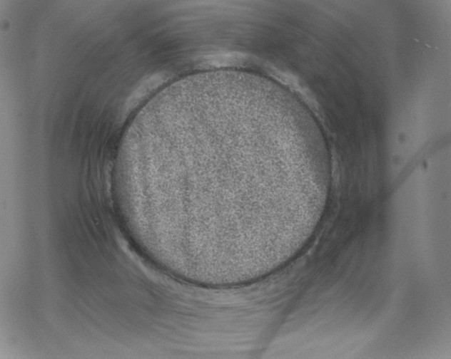 X0000067910010200605111954