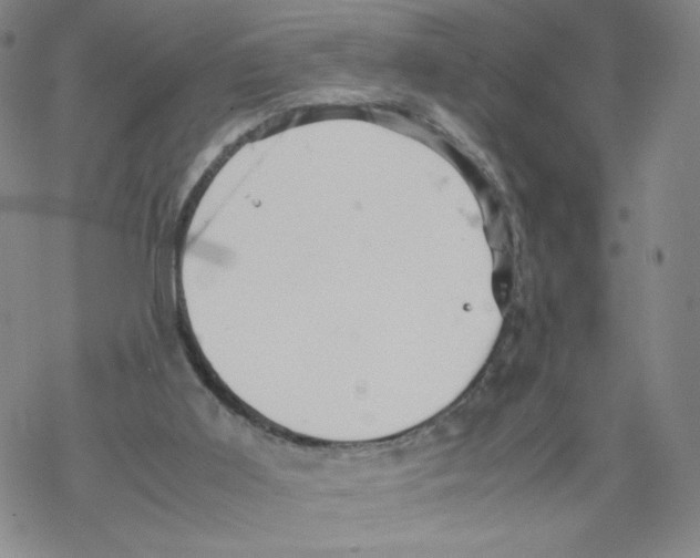 X0000067910011200605111954