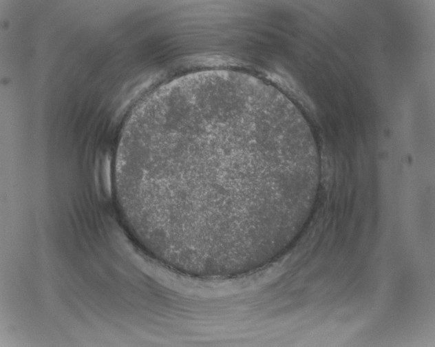 X0000067910014200605111954