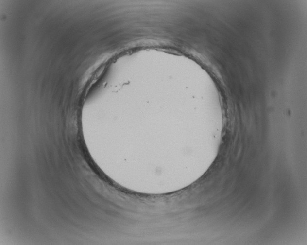 X0000067910015200605111954