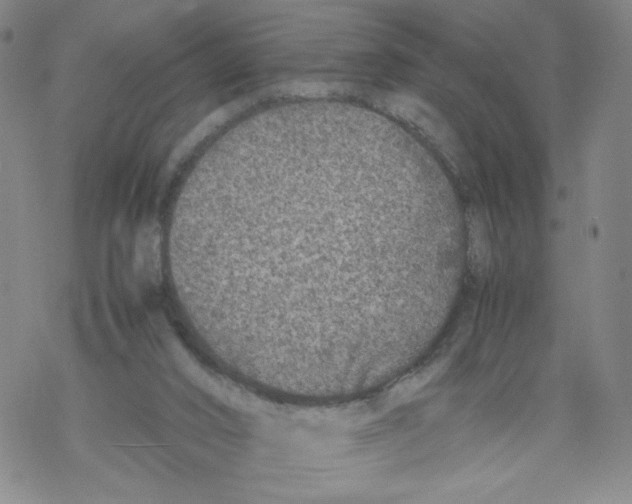 X0000067910016200605111954