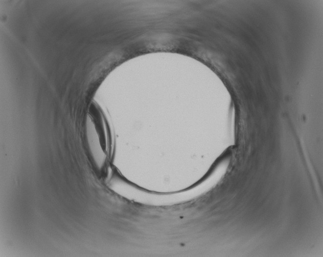 X0000067910017200605111954