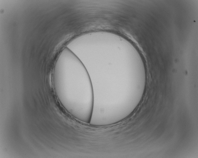 X0000067910019200605111954