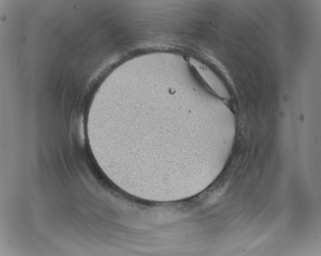 X0000067910020200605111954