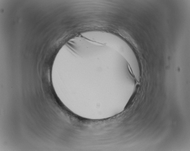 X0000067910021200605111954