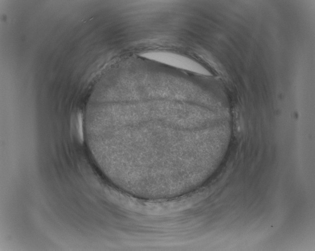 X0000067910022200605111954