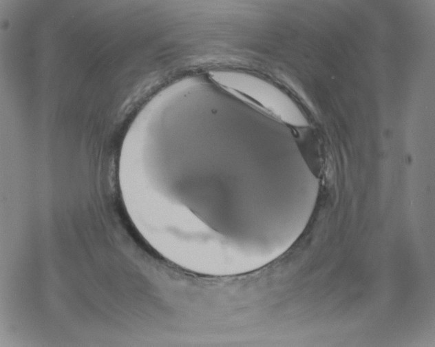 X0000067910023200605111954