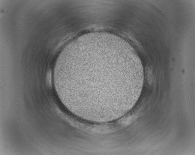 X0000067910024200605111954