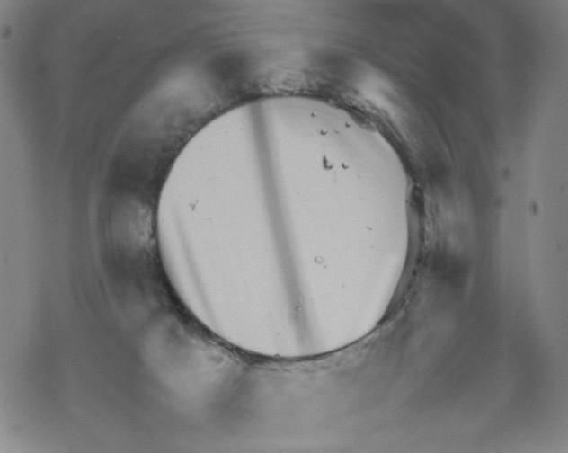 X0000067910025200605111954