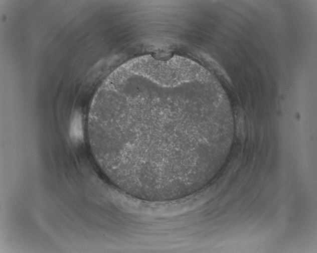 X0000067910026200605111954