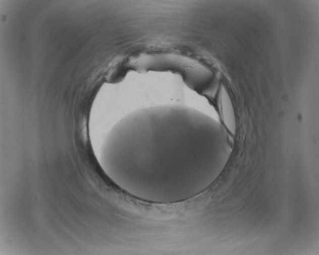 X0000067910027200605111954