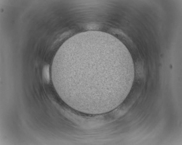 X0000067910028200605111954