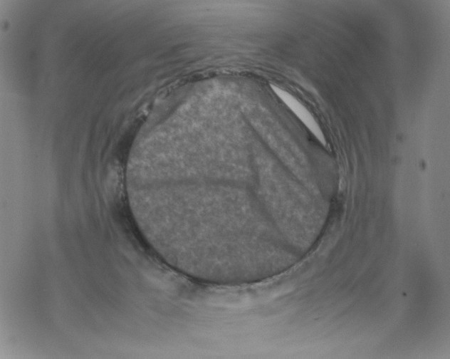 X0000067910029200605111954