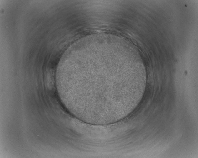 X0000067910030200605111954