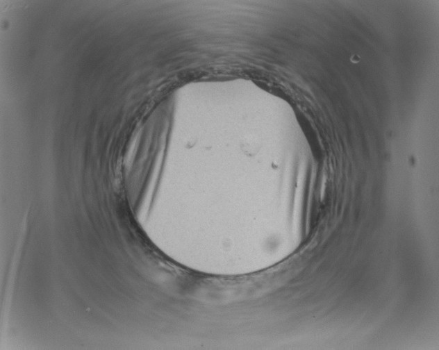 X0000067910033200605111954